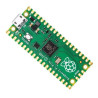 RASPBERRY PI PICO